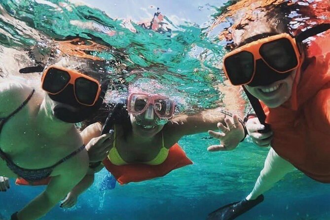 Catamaran Snorkel & Beach Day with Turtles - Key points at a glance