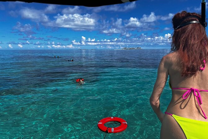 Catamaran Snorkel & Beach Day with Turtles - Nassau harbor: a quick introduction before open water