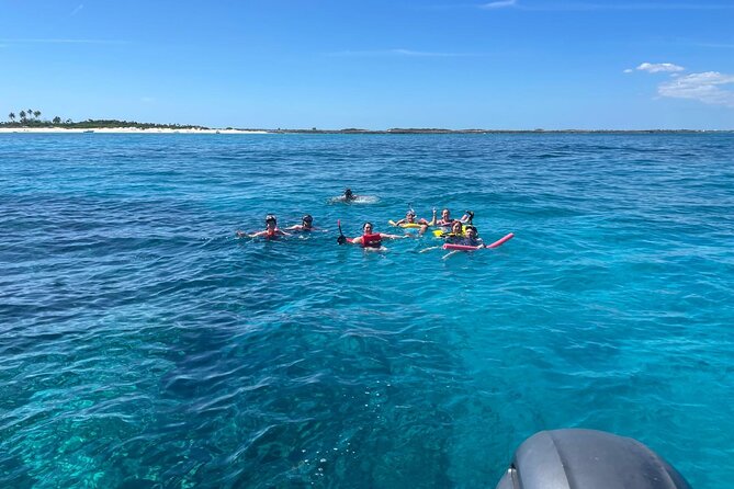 Catamaran Snorkel & Beach Day with Turtles - Green Cay Sanctuary and the turtle watch