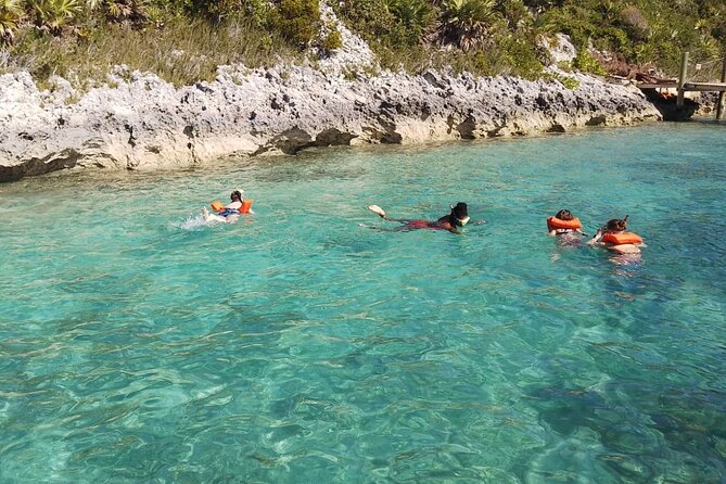 Catamaran Snorkel & Beach Day with Turtles - Atholl Island snorkeling with supplied gear