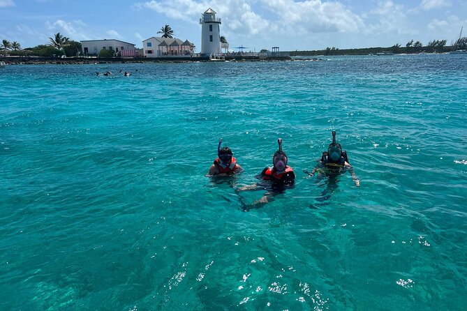 Catamaran Snorkel & Beach Day with Turtles - Rose Island and Gilligan’s Island beach