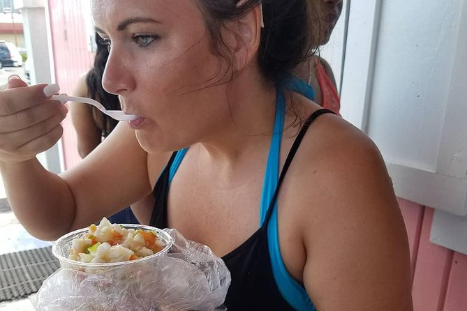 City Sight Seeing with Wine, Rum Cake and Conch Fritter Samples - Fort Fincastle and the limits of a short tour