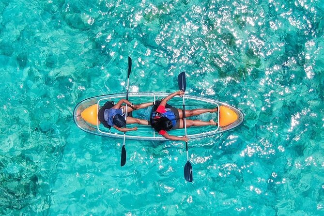 Clear Kayak Tour - Why the Clear Kayak Makes This Tour Different