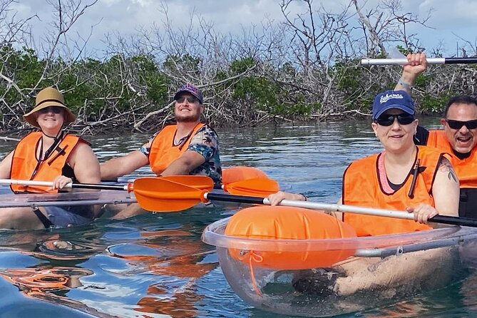 Clear Kayak Tour - Who Will Enjoy It Most