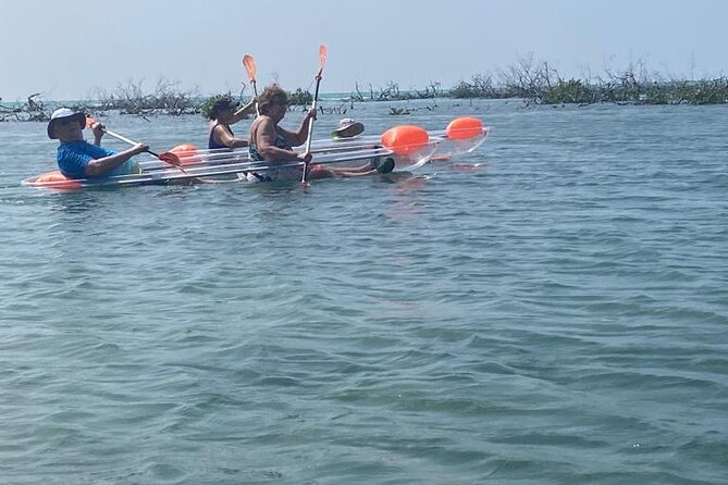 Clear Kayak Tour - Weather, Cancellation, and Planning Advice