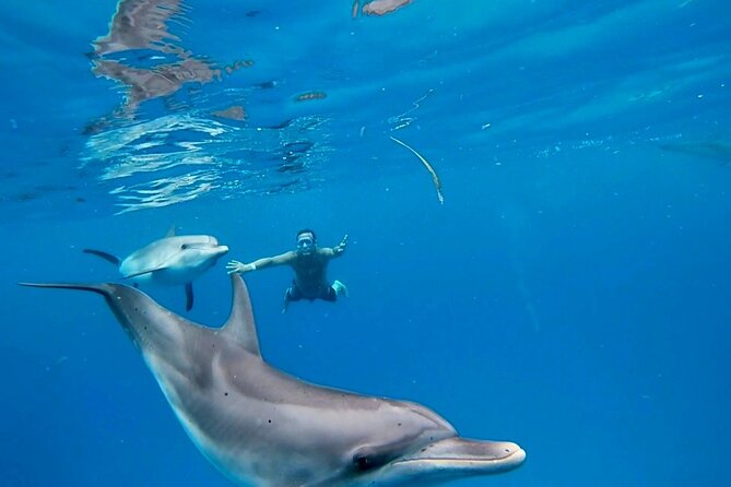 Create-Your-Own Luxury Adventure in Bimini with photographer - Start with Bimini stories at the Dolphin House Museum
