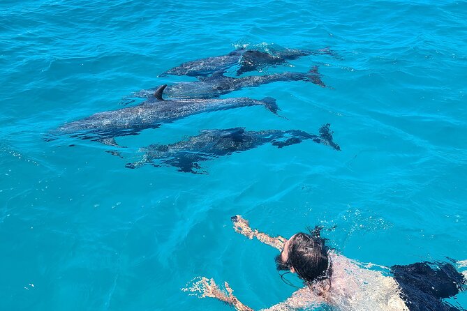 Create-Your-Own Luxury Adventure in Bimini with photographer - Four private hours around North Bimini