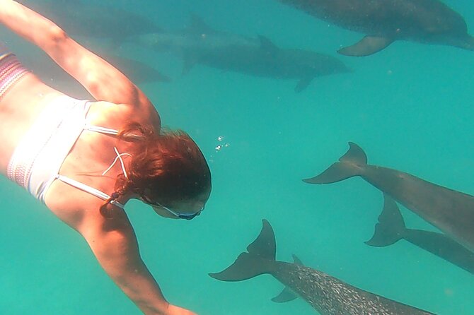 Create-Your-Own Luxury Adventure in Bimini with photographer - How the guide team can shape the day