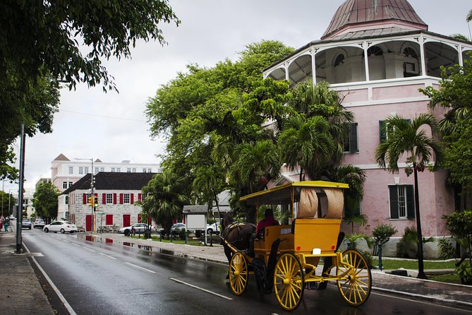 Dilly Dally Walking Tour of Nassau Attractions - Art gives Nassau another voice