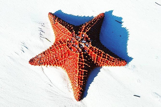 East End Private Day Trip Experience Tour - A private way to see Grand Bahama beyond Freeport