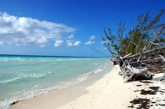 East End Private Day Trip Experience Tour - Taino Beach and conch salad made to order