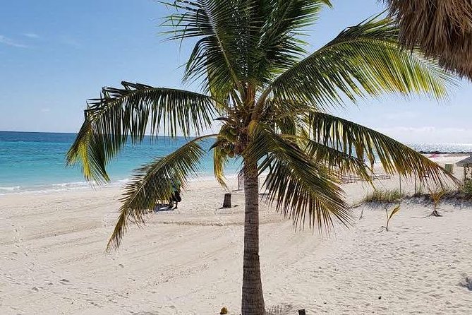 East End Private Day Trip Experience Tour - Lucayan National Park and Gold Rock Beach