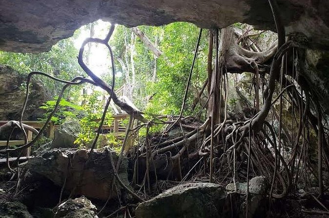 East End Private Day Trip Experience Tour - What the $270 price really covers