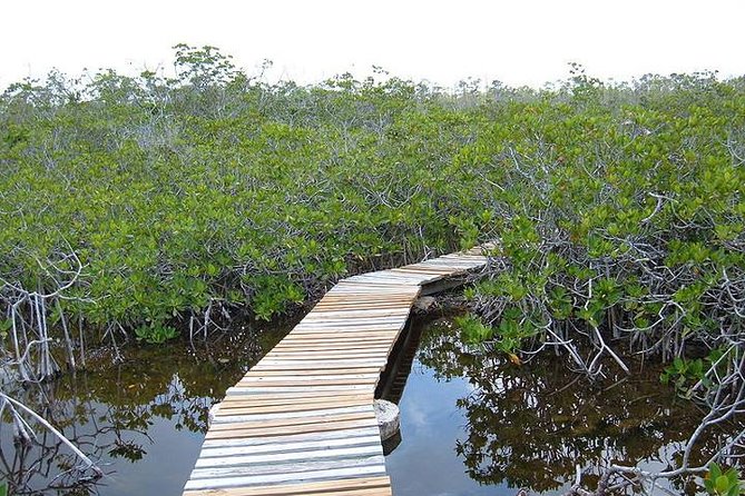 East End Private Day Trip Experience Tour - Starting with Grand Bahama’s local flavor