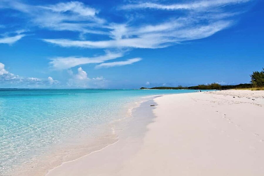 Exclusive Fly-In Premium Beach Experience from Nassau - Meeting the swimming pigs at Big Major Cay
