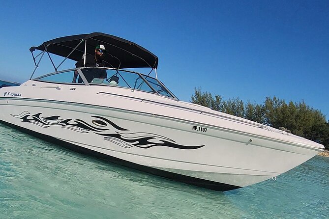 Exotic half day private charters to Rose Island, Pigs and Turtles - What four hours really allows