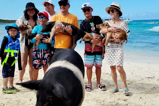 Exotic half day private charters to Rose Island, Pigs and Turtles - The swimming pigs and the extra $40