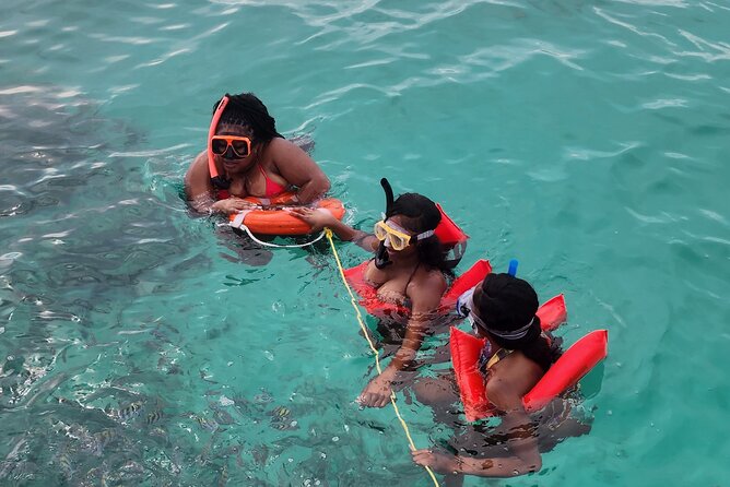 Exotic half day private charters to Rose Island, Pigs and Turtles - Who will get the most from this charter