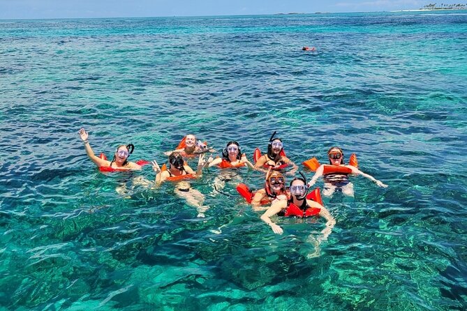 Exotic half day private charters to Rose Island, Pigs and Turtles - Snorkeling around Rose Island