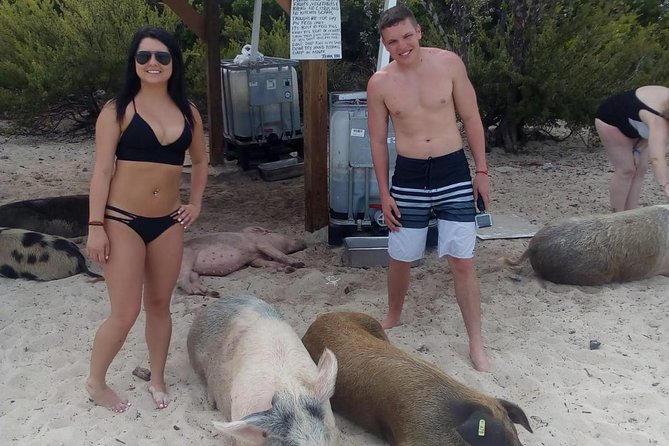 Exuma Day Away - Original Swimming Pigs Excursion - Pig Beach at Big Majors Cay