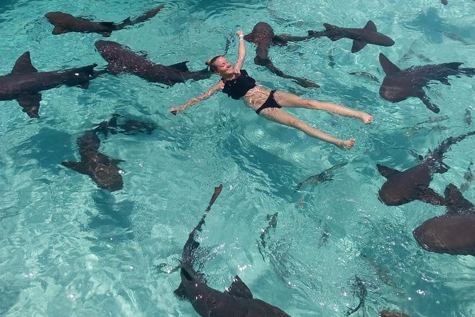 Exuma Day Away - Original Swimming Pigs Excursion - Sandbars, the Exuma Cays, and Pablo Escobar’s plane
