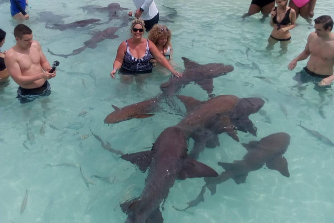 Exuma Day Away - Original Swimming Pigs Excursion - Weather, comfort, and group size