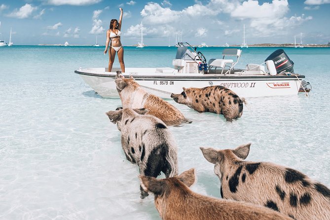 Exuma Elite Escape: Luxury Fly-In Pig Beach Adventure - 7 Stops - Why the flight makes this Exuma trip practical