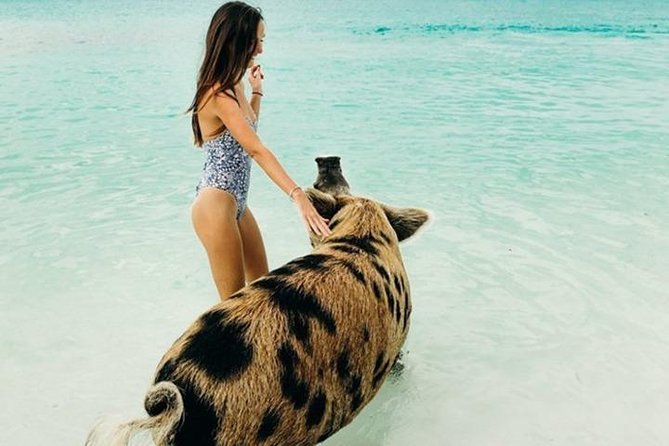 Exuma Elite Escape: Luxury Fly-In Pig Beach Adventure - 7 Stops - Thunderball Grotto, with a James Bond connection