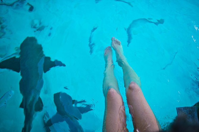 Exuma Elite Escape: Luxury Fly-In Pig Beach Adventure - 7 Stops - The Staniel Cay plane wreck