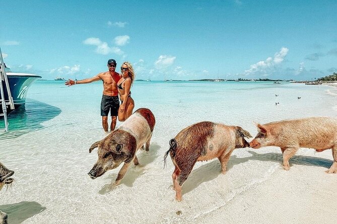 Exuma Full Day Swimming Pigs Group Boat Tour - Key points to know before booking