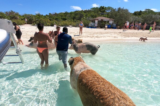 Exuma Full Day Swimming Pigs Group Boat Tour - Leaving Nassau from Paradise Island