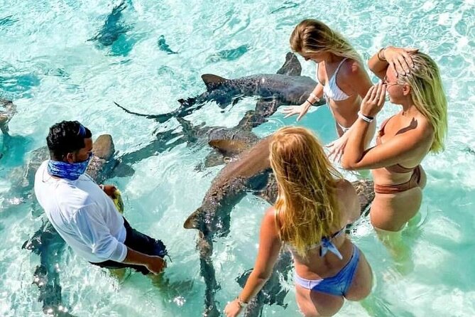 Exuma Full Day Swimming Pigs Group Boat Tour - Allen Cay and its ancient rock iguanas