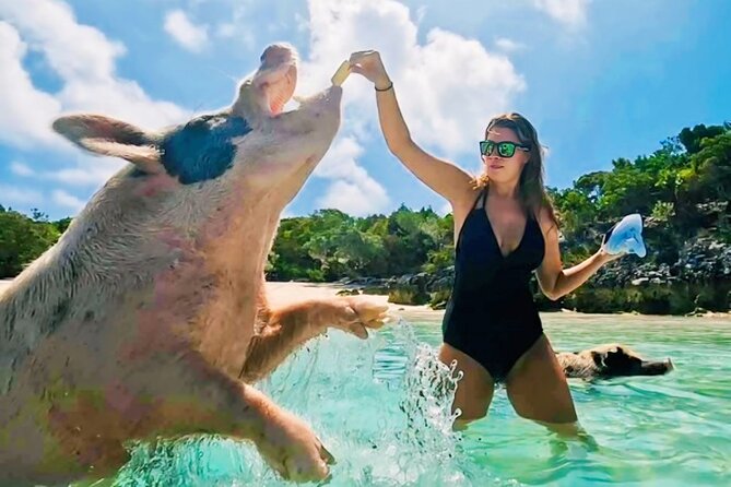 Exuma Island and Cays Tour - A full day among Exuma’s small cays