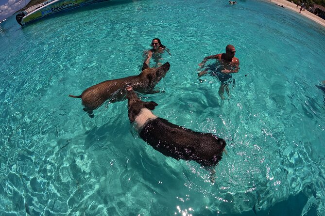 Exuma Island Hopping Swimming Pigs Tour with Lunch from Nassau - The powerboat ride is part of the deal