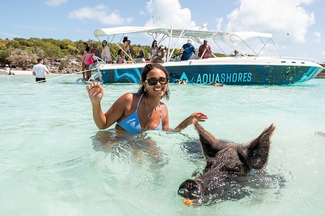 Exuma Powerboat Tour from Nassau with Swimming Pigs - Pig Beach at Big Major Cay