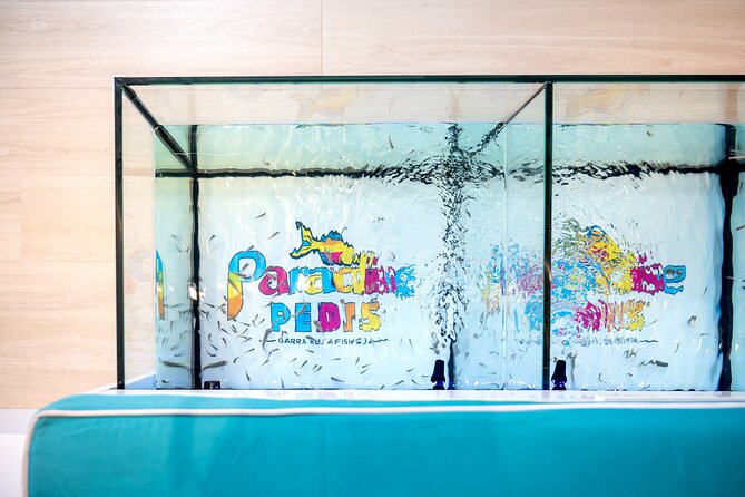 Fish, Fun & Feet – Caribbean’s Largest Fish Spa Experience! - Meeting the Garra rufa fish