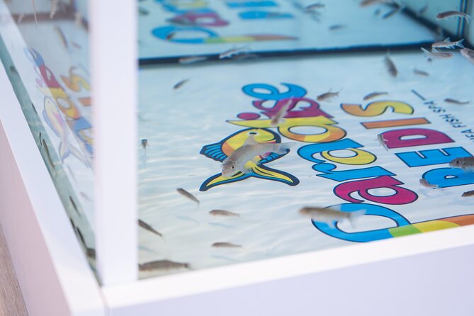 Fish, Fun & Feet – Caribbean’s Largest Fish Spa Experience! - Who should book this experience?