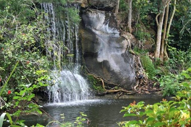 Freeport Shore Excursion: Garden of the Groves and City Tour - A four-hour introduction to Grand Bahama