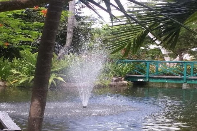 Freeport Shore Excursion: Garden of the Groves and City Tour - Port Lucaya Marketplace in only 30 minutes