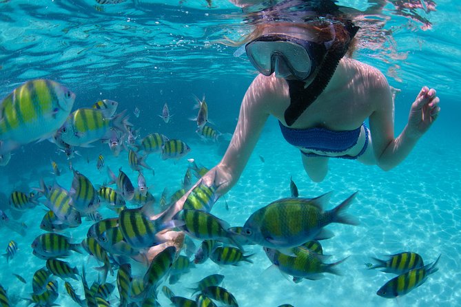 Freeport Snorkeling Peterson Cay National Park and Hotel Day Pass - Key points before you book