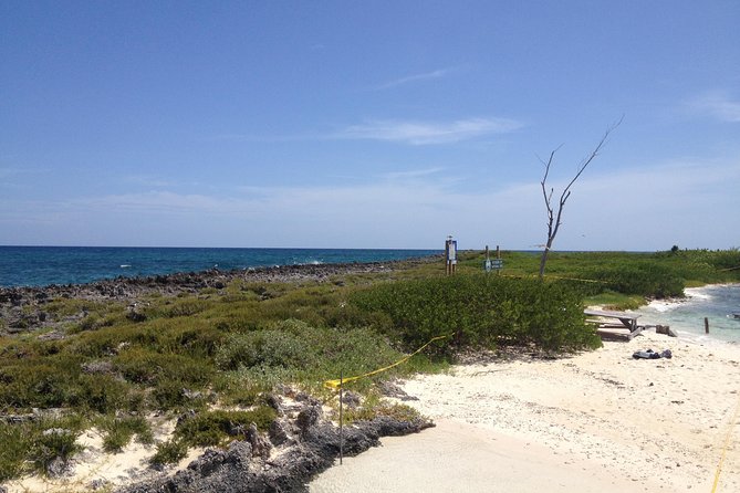 Freeport Snorkeling Peterson Cay National Park and Hotel Day Pass - The Viva Wyndham day pass adds real value