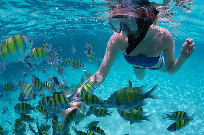Freeport Snorkeling Peterson Cay National Park and Hotel Day Pass - Who will enjoy this Freeport excursion