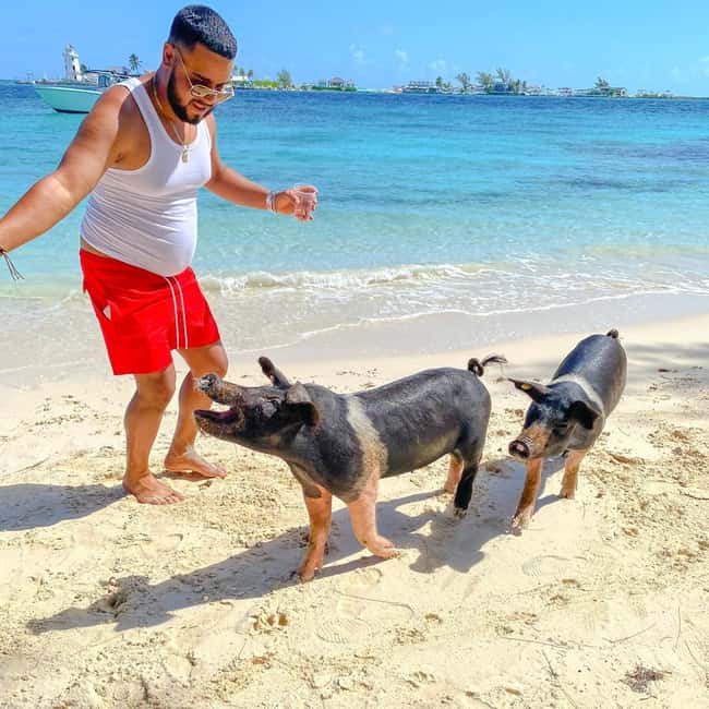 From Nassau: Swim with Pigs Safari - A two-hour Nassau boat trip with three different moods