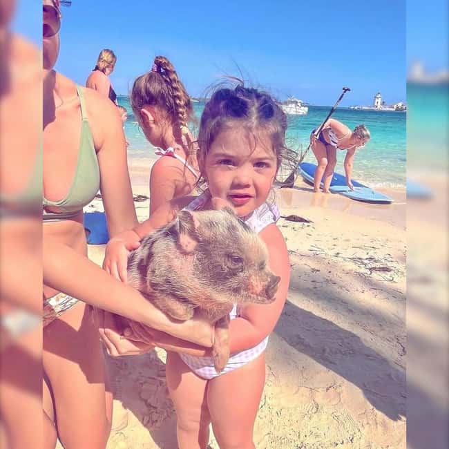 From Nassau: Swim with Pigs Safari - What comes with the ticket