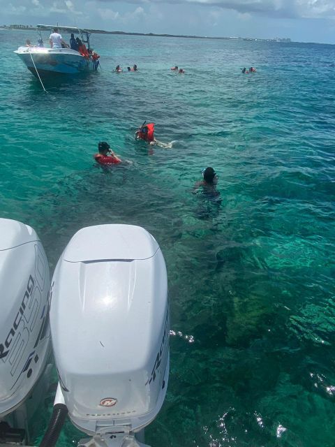 From Nassau: Swim with Pigs Safari - Small boats, attentive crews, and the group-size question