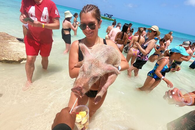 Full-Day Luxury Private Rose Island Pigs and Turtles Excursion - Key points at a glance