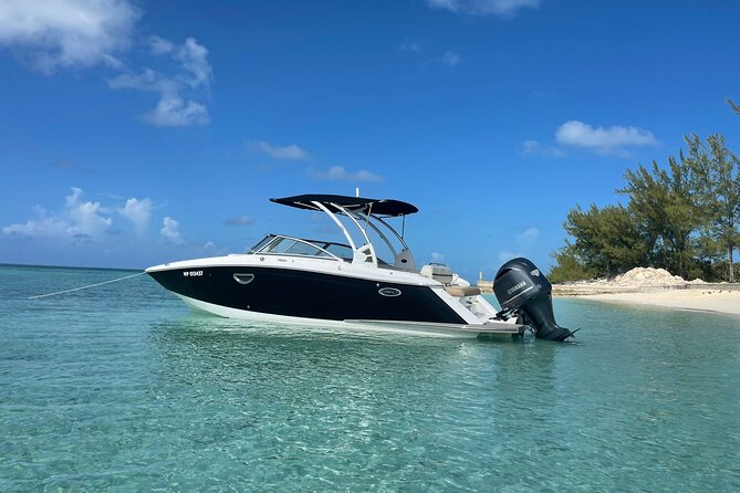 Full-Day Luxury Private Rose Island Pigs and Turtles Excursion - What the private format is really worth