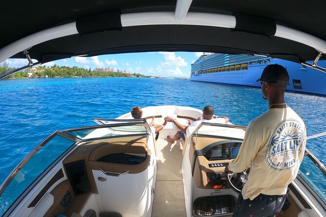 Full-Day Luxury Private Rose Island Pigs and Turtles Excursion - Setting out from Bayshore Marina