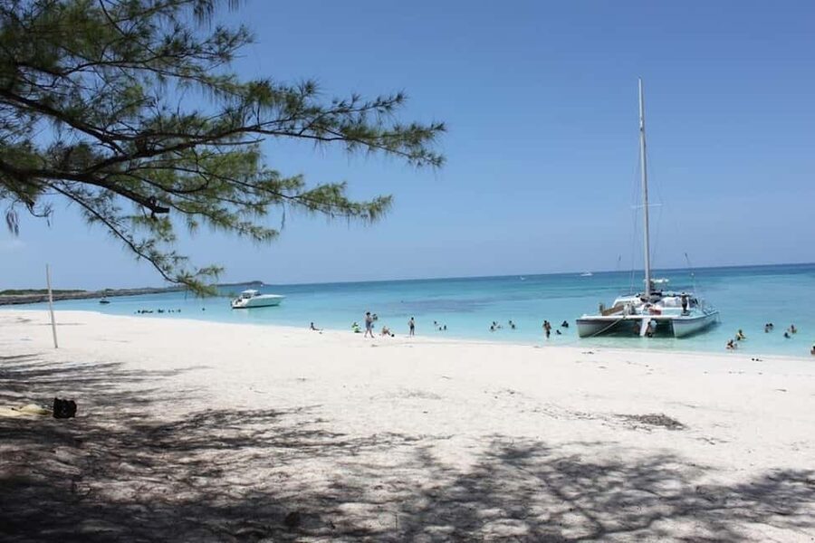 Full Day Sail and Snorkel with Turtles - Snorkeling the coral reef near Rose Island
