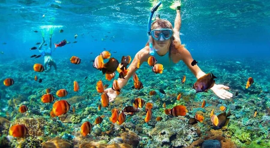 Full Day Sail and Snorkel with Turtles - BBQ lunch and drinks on Rose Island